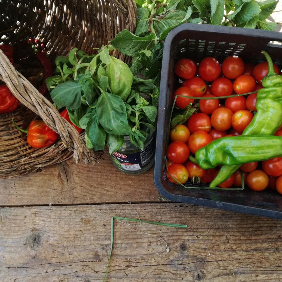 圣马可度假屋 夏卡 外观 照片